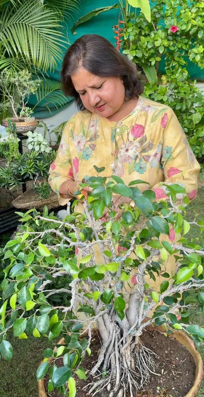 Founder with plants