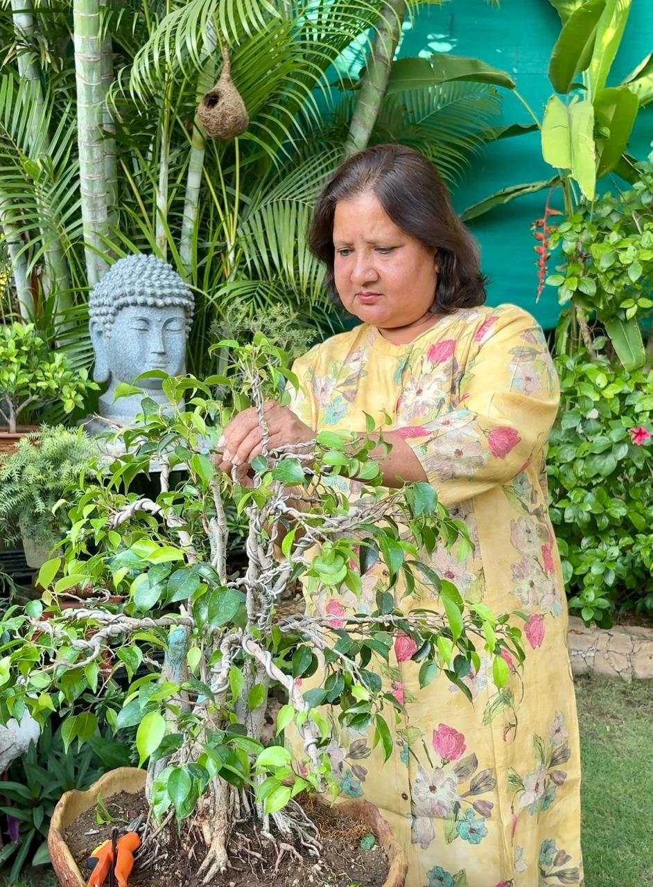 Founder pruning bonsai