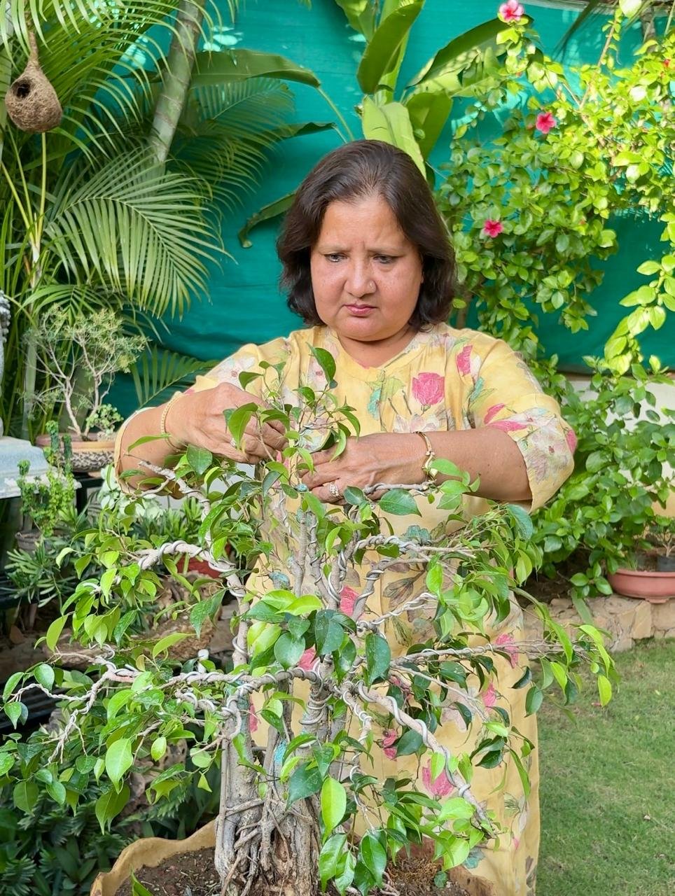 About the Founder – Sonal Desai